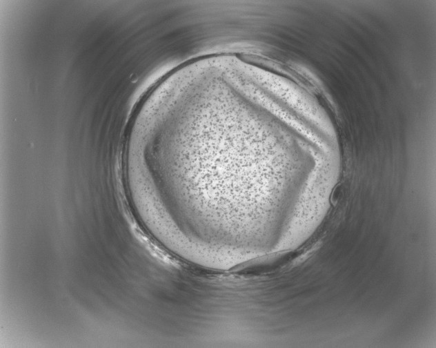 X0000078880952200612042021