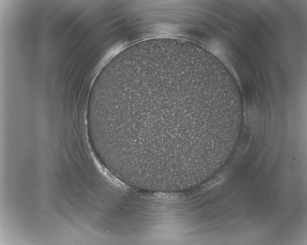 X0000078880954200612042021