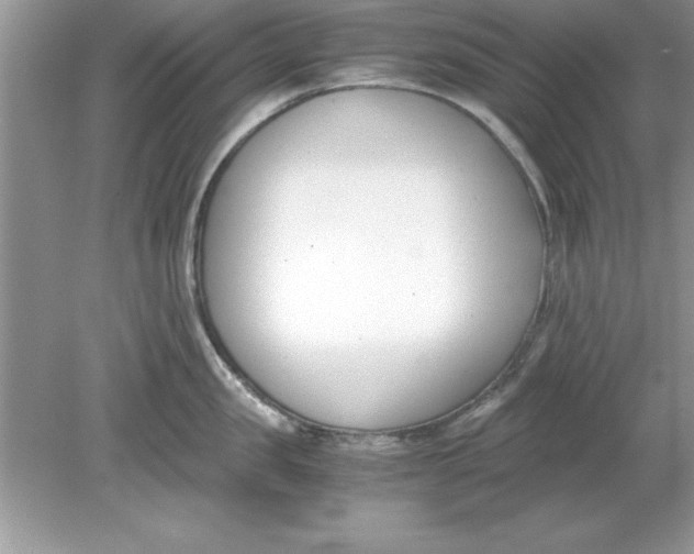 X0000078880957200612042021