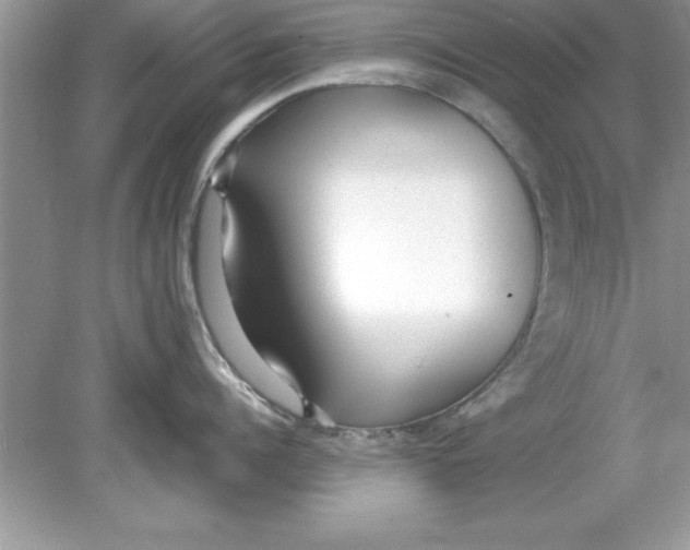 X0000078880960200612042021