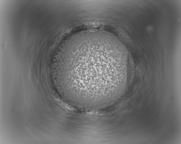 X0000078880961200612042020