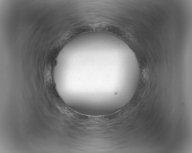 X0000078880963200612042020