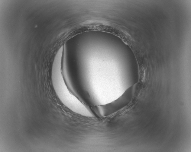 X0000078880965200612042020