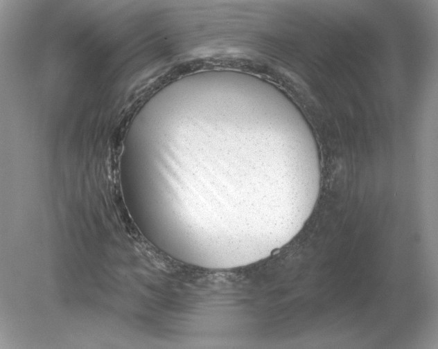 X0000078880966200612042020