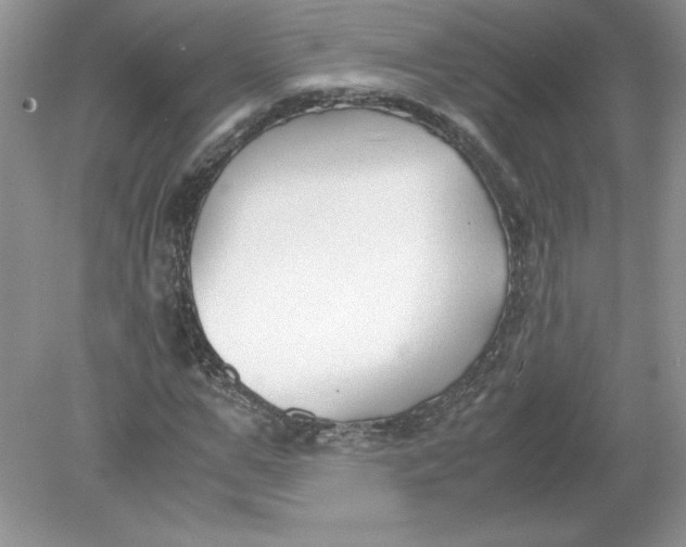 X0000078880967200612042020