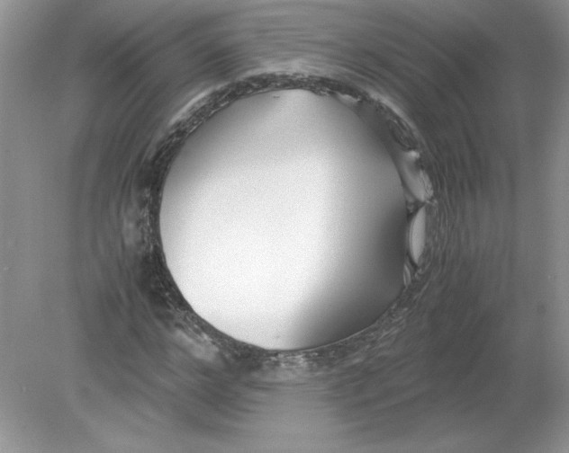 X0000078880968200612042020