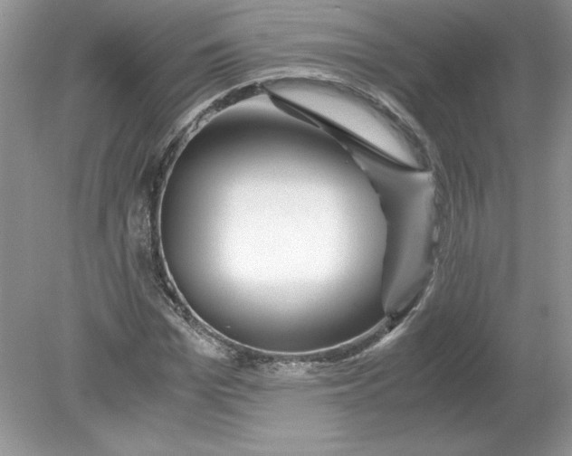 X0000078880969200612042020