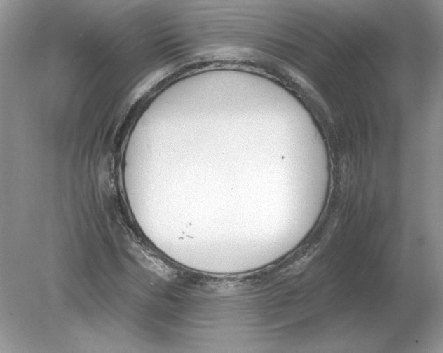 X0000078880970200612042020