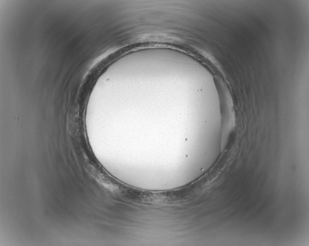 X0000078880971200612042020