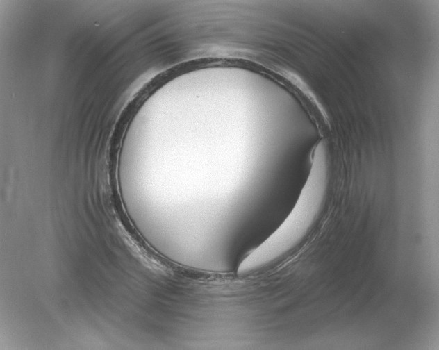 X0000078880972200612042020