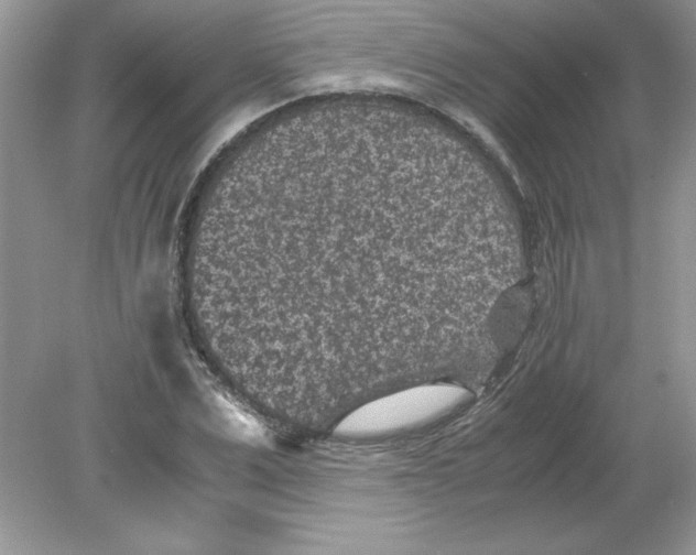 X0000078880975200612042020