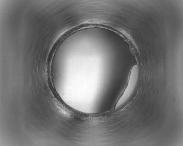 X0000078880976200612042020