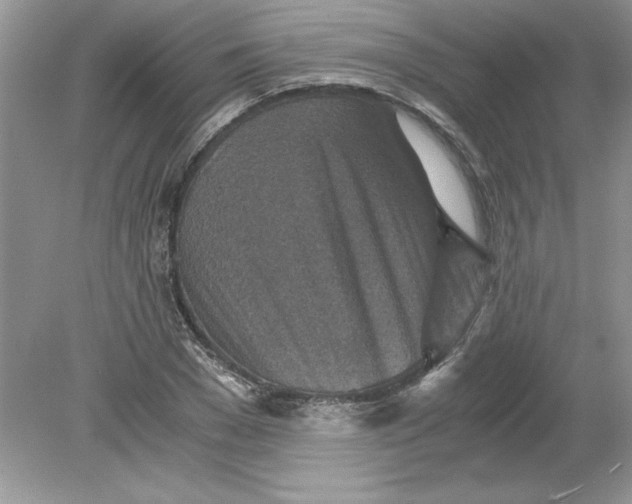 X0000078880977200612042020