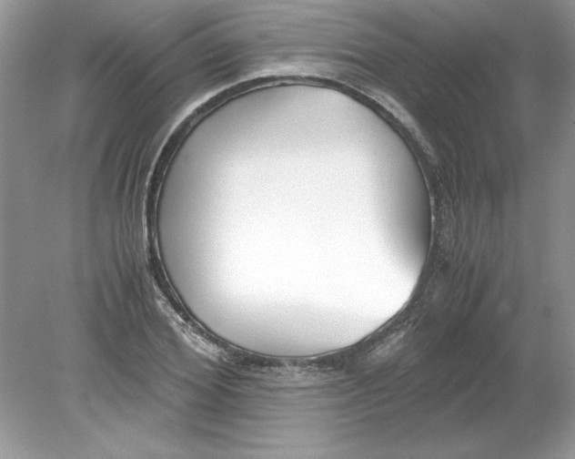 X0000078880980200612042020