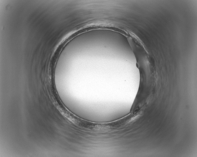 X0000078880981200612042020