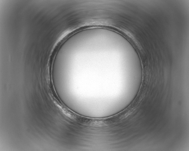 X0000078880982200612042020