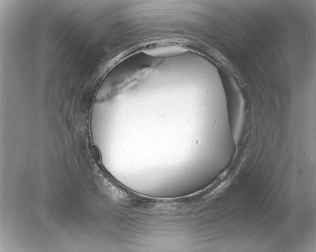 X0000078880985200612042019