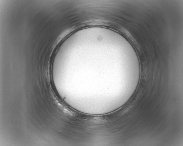 X0000078880986200612042019