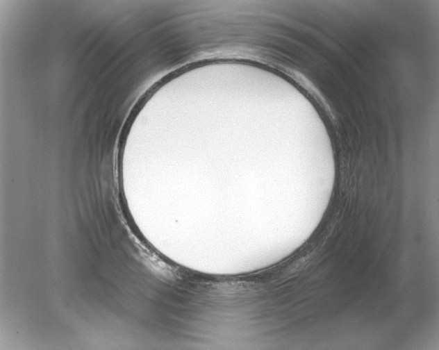 X0000078880988200612042019