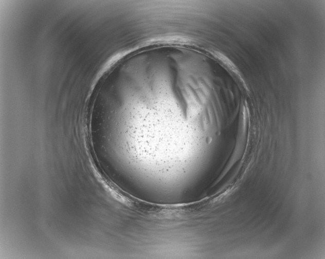 X0000078880989200612042019