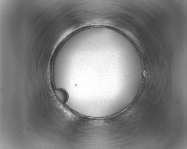 X0000078880990200612042019