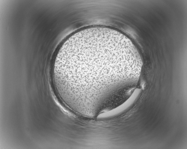 X0000078880991200612042019