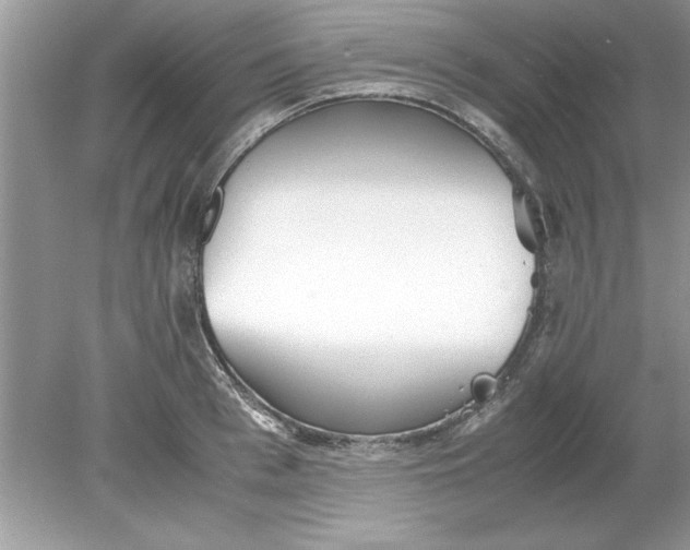 X0000078880993200612042019