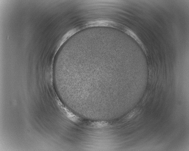 X0000078880994200612042019