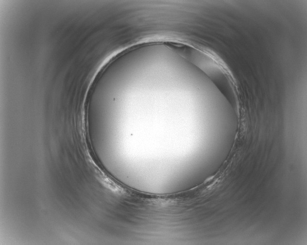 X0000078880996200612042019