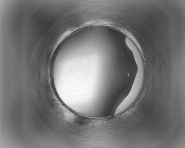 X0000078880997200612042019