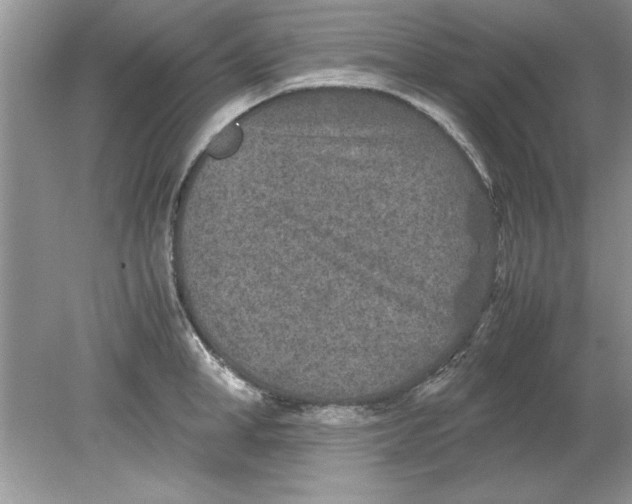 X0000078880998200612042019