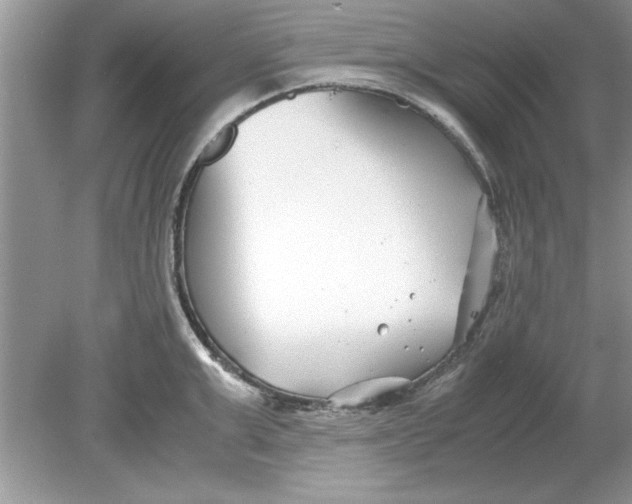 X0000078880999200612042019