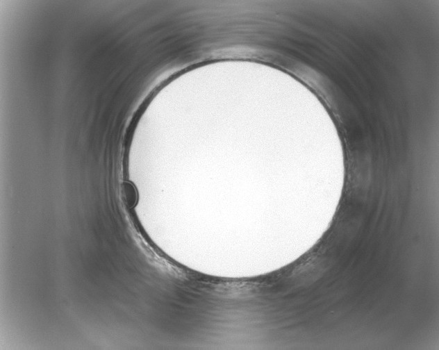 X0000078881000200612042019