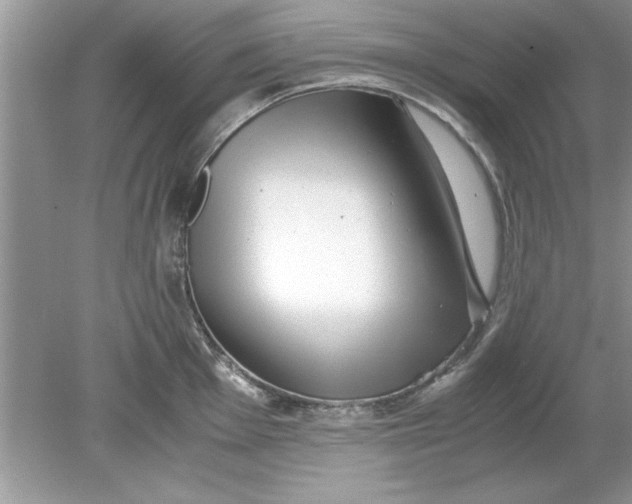 X0000078881001200612042019