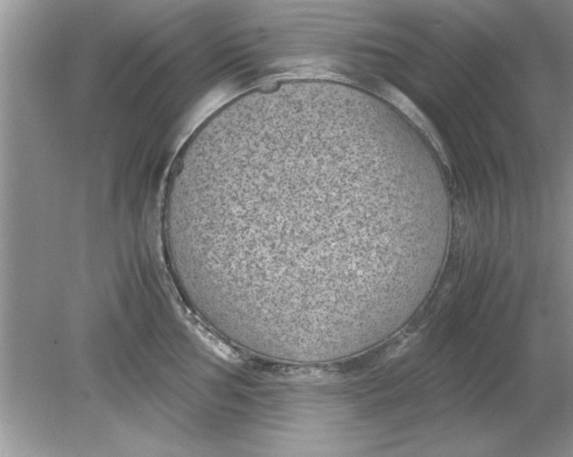 X0000078881002200612042019