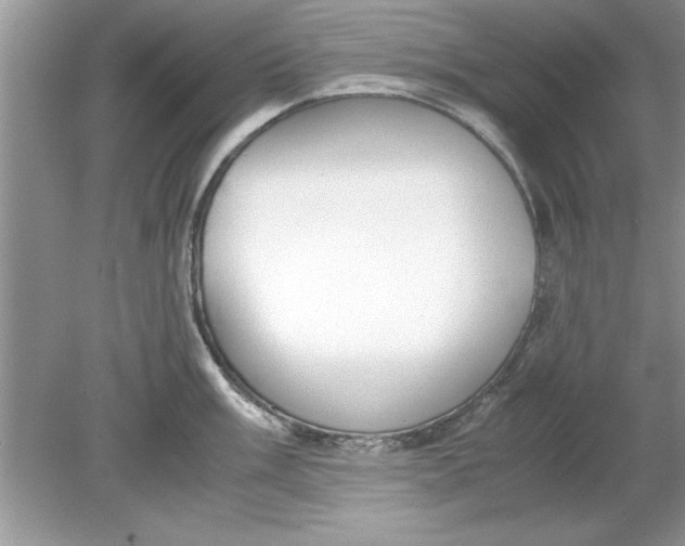 X0000078881003200612042019