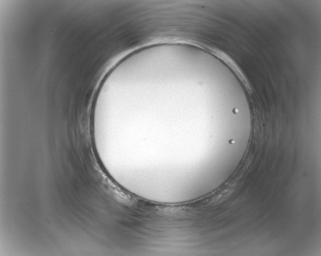 X0000078881004200612042019