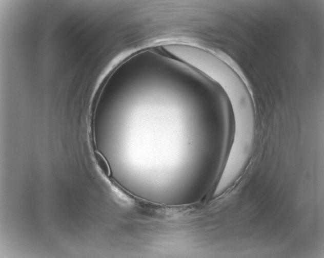 X0000078881005200612042019