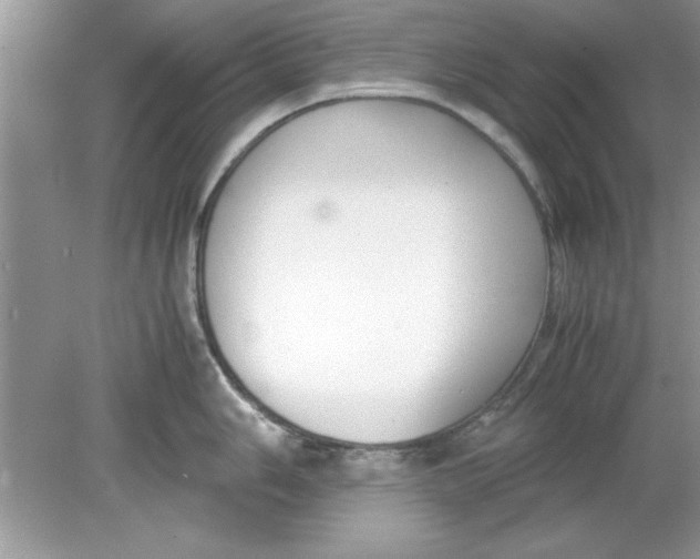 X0000078881006200612042019