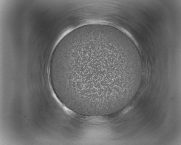 X0000078881007200612042019