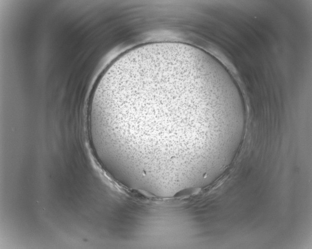 X0000078881008200612042019