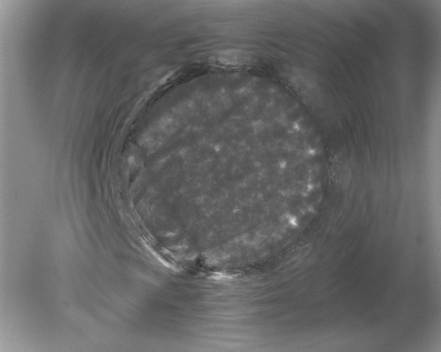 X0000078881009200612042018