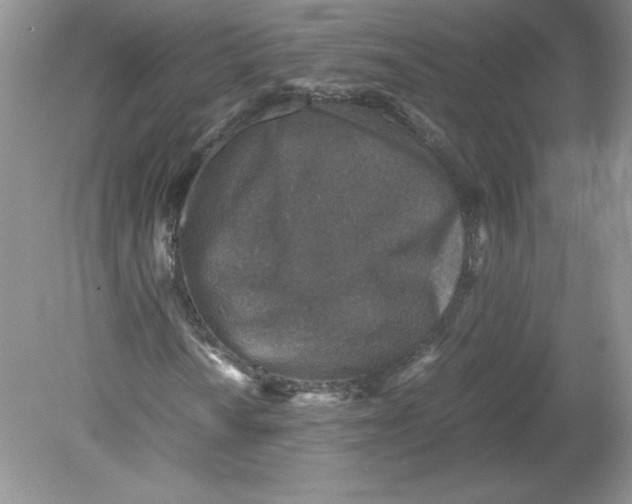 X0000078881010200612042018