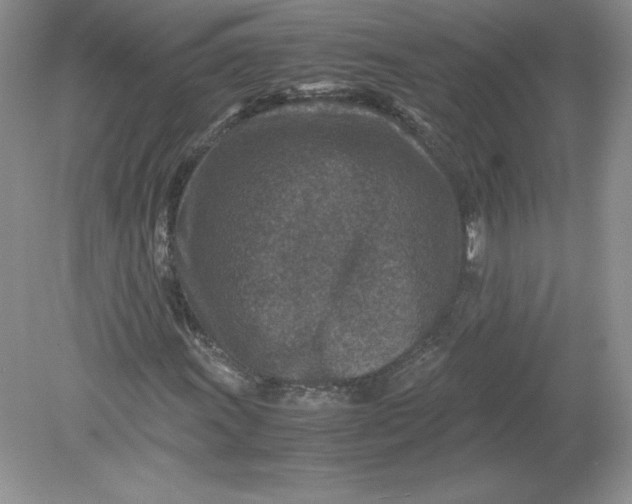 X0000078881011200612042018