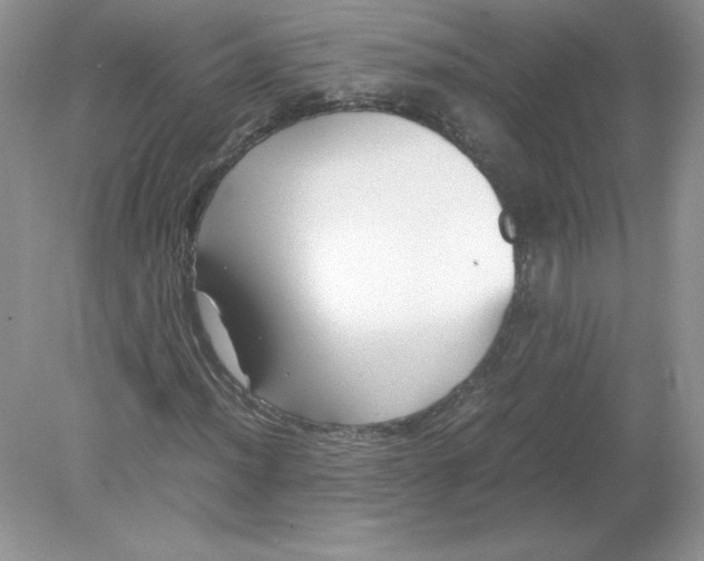 X0000078881012200612042018