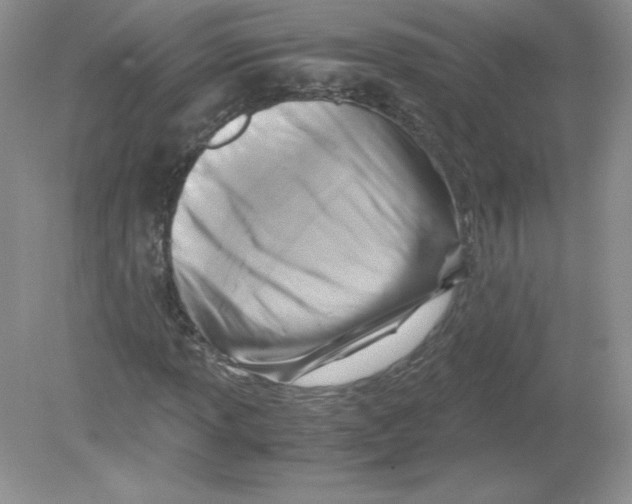 X0000078881013200612042018