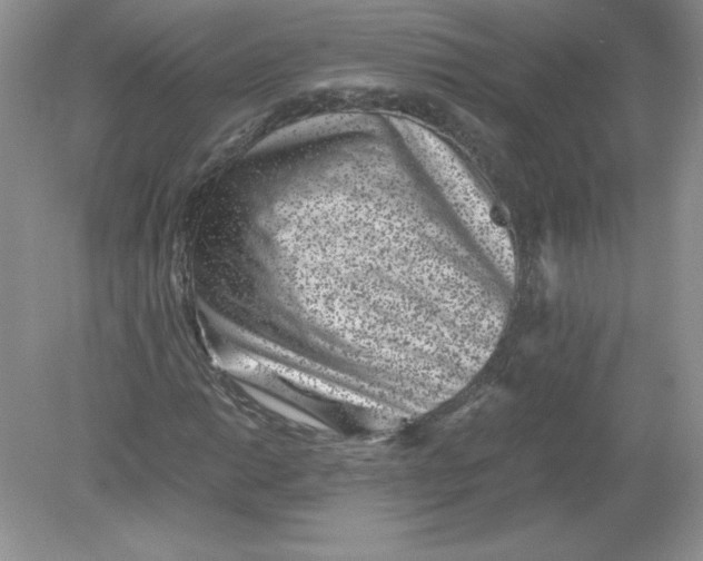 X0000078881014200612042018