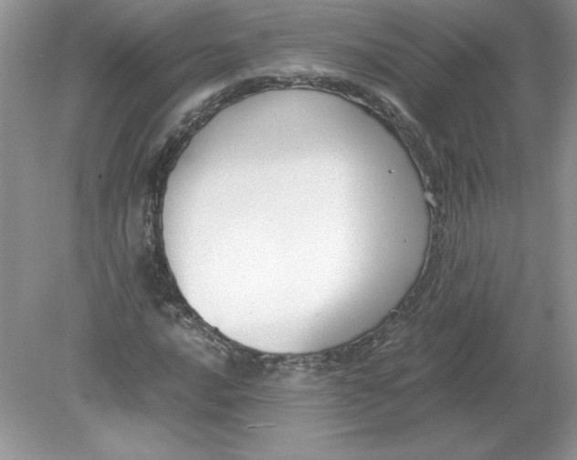 X0000078881016200612042018