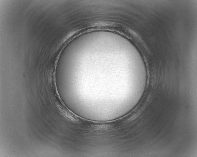 X0000078881017200612042018