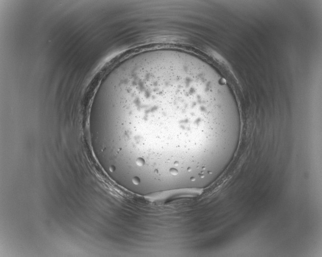 X0000078881019200612042018